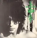 LP - Waterboys - A Pagan Place