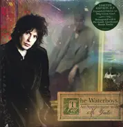 Waterboys - An Appointment with Mr. Yeats