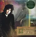 Double LP - Waterboys - An Appointment With Mr Yeats - Green Vinyl