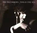 Double CD - Waterboys - This Is The Sea