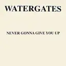 12'' - Watergates - Never Gonna Give You Up