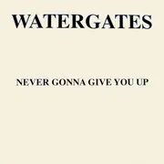12'' - Watergates - Never Gonna Give You Up