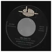 7inch Vinyl Single - Waterloo & Robinson - Lili's Haus