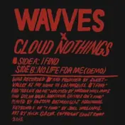 Wavves - Split