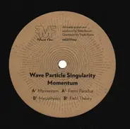 Wave Particle Singularity - Momentum