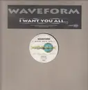 12inch Vinyl Single - Waveform - I Want You All