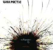 Wax Poetic - Cihangir (B.Green & DJ 3000 RMX)