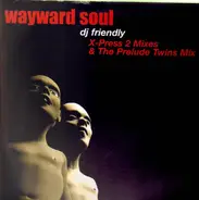 Wayward Soul - DJ Friendly