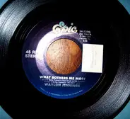 Waylon Jennings - What Bothers Me Most