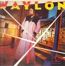 LP - Waylon Jennings - Never Could Toe The Mark