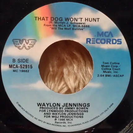 Waylon Jennings - What You'll Do When I'm Gone