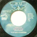 7'' - Waylon Jennings - Come With Me / Mes'kin