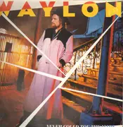 LP - Waylon Jennings - Never Could Toe The Mark