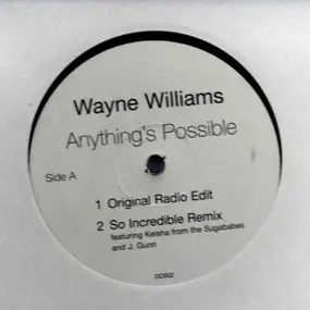 Wayne Williams - Anything's Possible