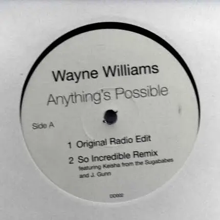 Wayne Williams - Anything's Possible