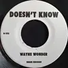 7inch Vinyl Single - Wayne Wonder - Doesn't Know