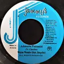 7inch Vinyl Single - Wayne Wonder Feat. Surprise - Admaria Panamid