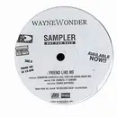 12'' - Wayne Wonder - Friend Like Me / Enemies
