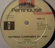 Wayne Wonder - Nothing Compares To You