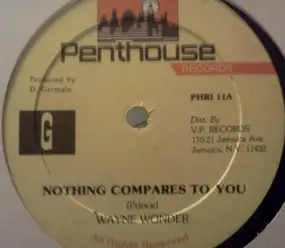 Wayne Wonder - Nothing Compares To You