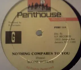 Wayne Wonder - Nothing Compares To You