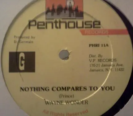 Wayne Wonder - Nothing Compares To You