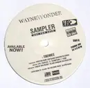 12'' - Wayne Wonder - Sampler: Enemies / Friend like me
