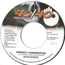 7inch Vinyl Single - Wayne Wonder - Perfect Combination