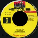 7inch Vinyl Single - Wayne Wonder - Why Did You