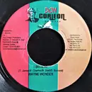 7inch Vinyl Single - Wayne Wonder - I Believe