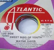 Wayne Davis - Sweet Bird Of Youth