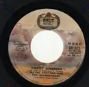 7inch Vinyl Single - Wayne Fontana - Sweet America - Mono / Stereo - Promo Copy