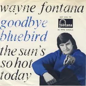 Wayne Fontana - Goodbye Bluebird