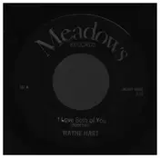 Wayne Hart - I Love You Both / Dude's Place