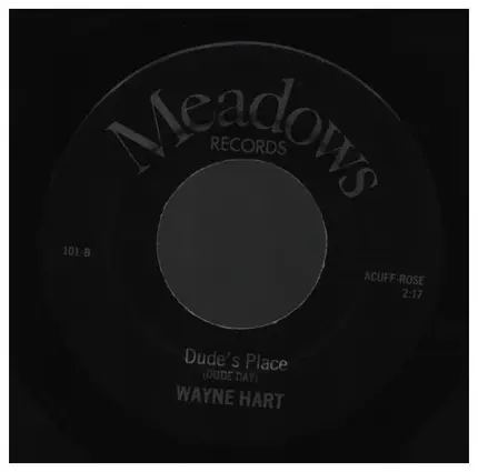 Wayne Hart - I Love You Both / Dude's Place