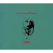 Wayne Hussey - Curios