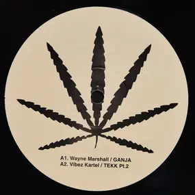 Wayne Marshall - Ganja / Tekk Pt.2