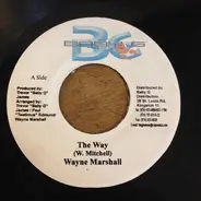 Wayne Marshall - The Way