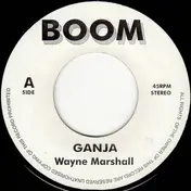 Wayne Marshall - Ganja / Weed Anthem