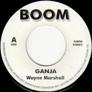 Wayne Marshall / Unknown Artist - Ganja / Weed Anthem