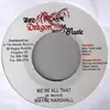 7inch Vinyl Single - Wayne Marshall - We're All That