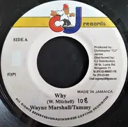 Wayne Marshall - Why