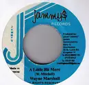 7inch Vinyl Single - Wayne Marshall - A Little Bit More