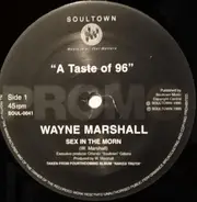 Wayne Marshall - A Taste Of 96