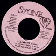 Wayne Marshall - All Night Long