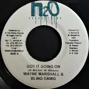 Wayne Marshall & Bling Dawg - Got It Going On