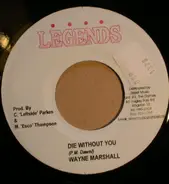 Wayne Marshall / Flava Unit - Die Without You / Your Body's Calling
