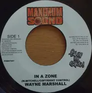 Wayne Marshall - In A Zone