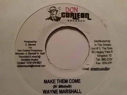 Wayne Marshall - Make Them Come