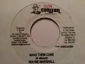 Wayne Marshall - Make Them Come